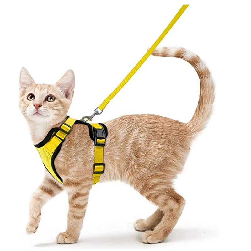 Cat Harness Leash Set Breathable Comfortable
